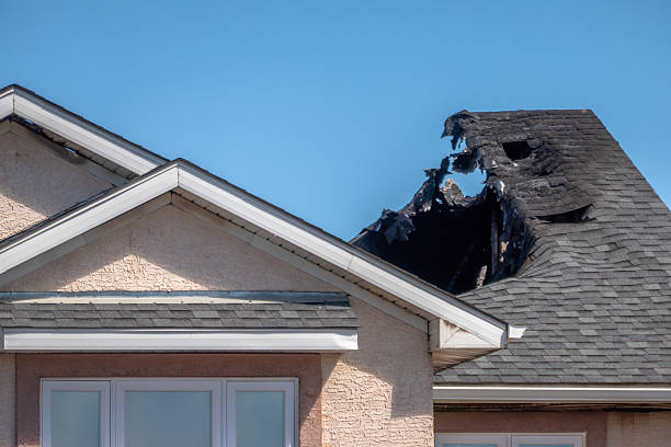 Licensed Fire Damage Restoration service in Oldsmar, FL - Fire Damage Biloxi